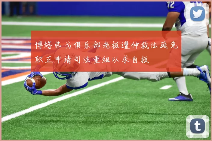 博塔弗戈俱乐部老板遭仲裁法庭免职正申请司法重组以求自救